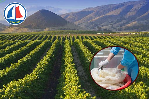 Tại sao quy trình sản xuất gia công tpcn tại nhà máy La Terre France lại được đánh giá cao trong lòng khách hàng