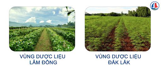 vườn nguyên liệu của nhà máy gia công tpcn La Terre France