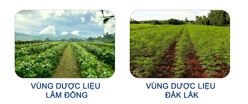 Nguyen liẹu sản xuát thục phảm chúc nang tại nhà máy La Terre France2